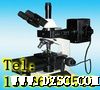 LW100FT/B荧光显微镜|显微镜