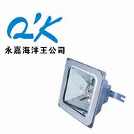 供应NFC9100*眩棚顶灯