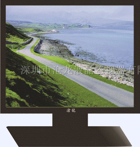 供应20寸液晶*器