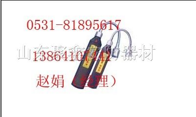 供应天然气检测仪RJ-300
