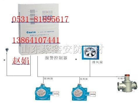 供应天然气报警器|CA-2100