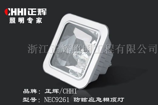供应NEC9261 *眩应急棚顶灯，场馆道路灯