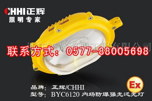 供应BYC6120 内场*爆强光泛光灯