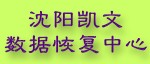 沈阳硬盘*恢复公司沈阳凯文数据恢复中心