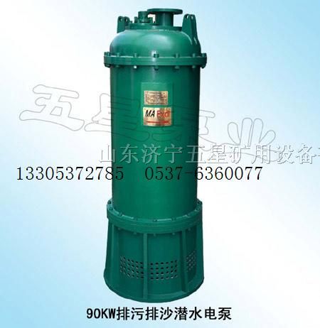 供应BQS50-240-90KW水泵