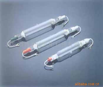 供应OLEC金卤曝光灯L-1261/ L-1281