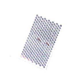 紫 ER5060