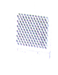 紫 ER5080