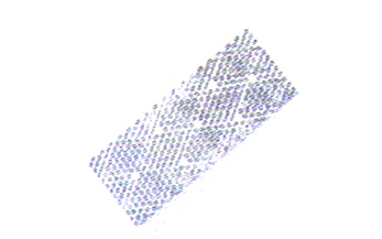 紫 ER8