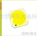  5050 LED 灯珠