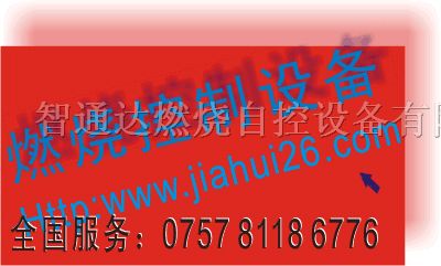 供应台湾TAIE仪表FY600，FY600-301000，FY600-701000