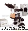 XSZ-HY1 荧光显微镜