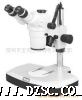 motic立体显微镜
