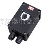 BHZ8030系列*爆*腐转换开关(IIC) BZZ8050