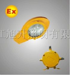 供应250W*爆道路灯，*爆金卤灯