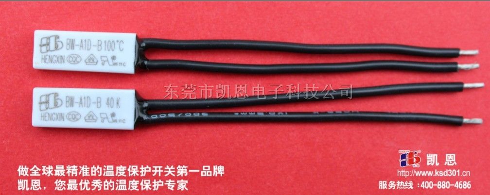 温控器BW热保护器电子组件*凯恩