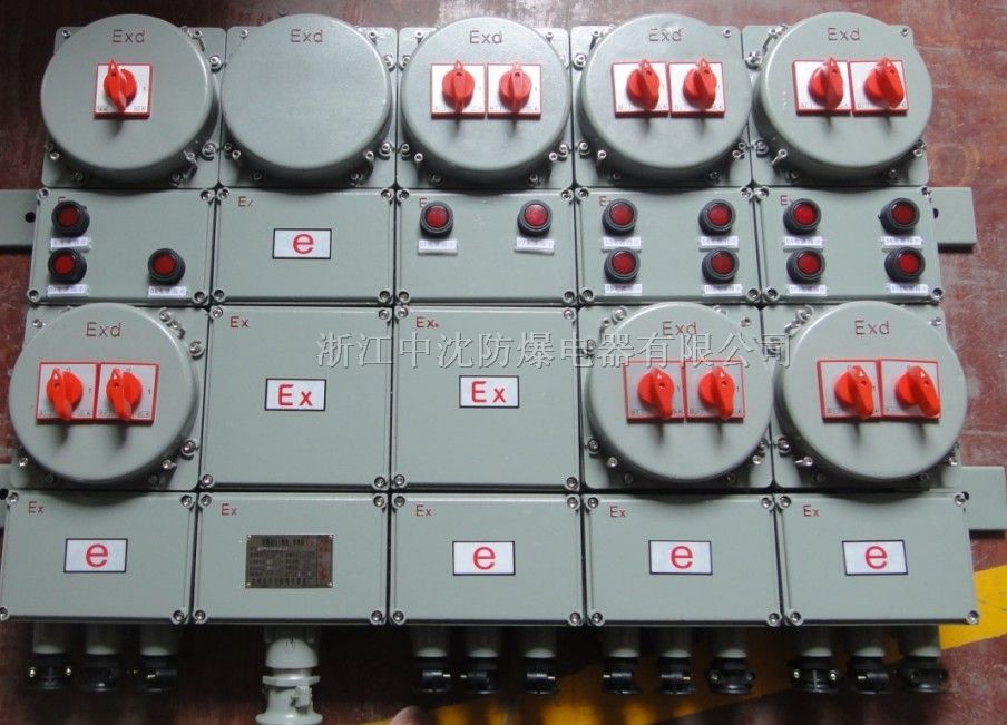 供应商供应*爆照明配电箱（IIC)