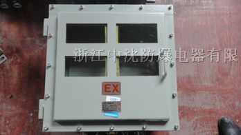 供应*爆仪表箱、装两个仪表*爆箱（IIB、IP65）