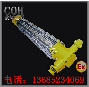 江苏DGS12(30)/127L(B) 矿用隔爆型LED巷道灯批发