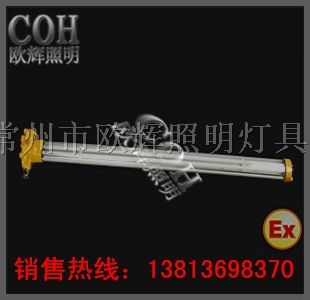 BCX6228*爆荧光灯