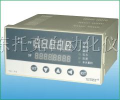 供应TE-F流量积算控制仪 济南托克