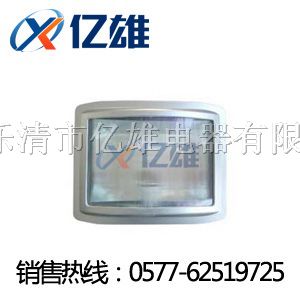 供应【GT301*水*尘*震*眩灯】GT302生产厂家