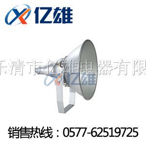 供应CNT9160A，*震投光灯CNT9160A（CNT9160A）