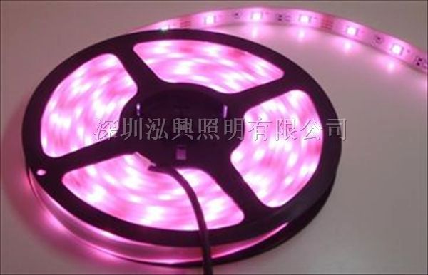 供应*LED灯带3528/5050