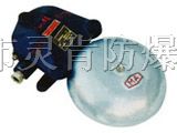 BAL1-36矿用隔爆型连击电铃