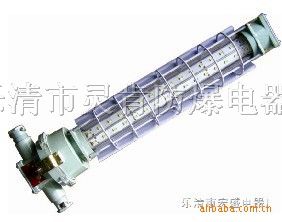 DGS15/127L(A)矿用隔爆型LED巷道灯