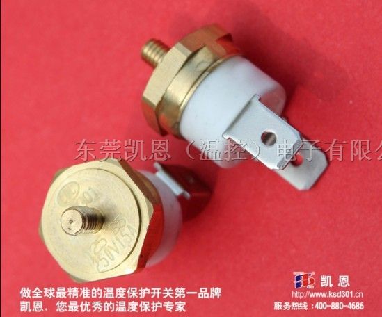 微波炉温度开关东莞凯恩