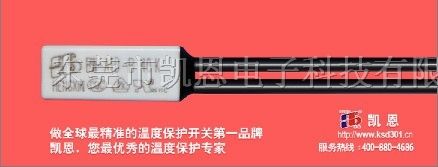 佛山BW9700热保护器
