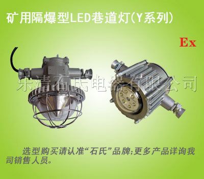 供应矿用隔爆型巷道灯,led矿用照明灯具
