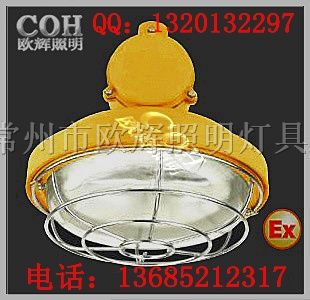 供应BCW6220粉尘*爆灯  *爆照明灯
