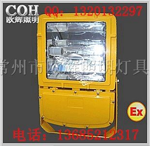 供应ZBFC8110 *爆泛光灯