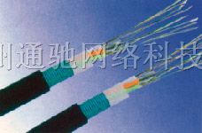 供应浙江温州长飞光缆光纤