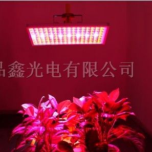 供应LED照明厂家生产LED植物生长灯