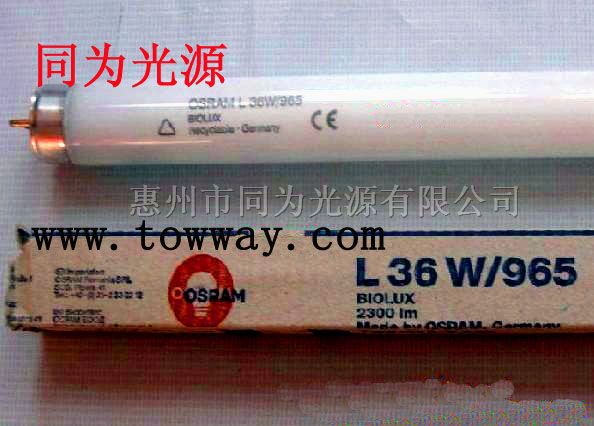 供应欧司朗 L 36W/965 30W/965 18W/965 D65对色灯管