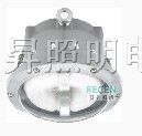 供应R-NFC9176长寿顶灯
