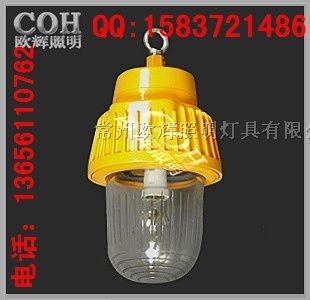 供应BPC8730*爆平台灯 *产品
