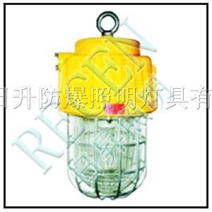供应DGS70 127B(B)矿用隔爆型泛光灯