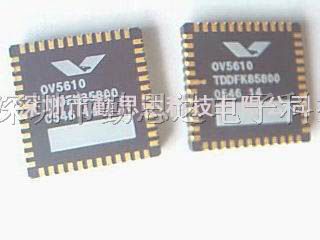 供应感光芯片OV5610