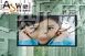 供应P20户外全彩屏价格、户外全彩LED显示屏