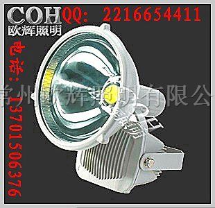 供应NTC6901*震*水投光灯_大功率投光灯