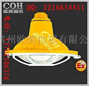 供应BCW6220粉尘*爆灯