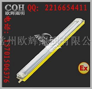 供应BCX6225粉尘*爆*腐荧光灯