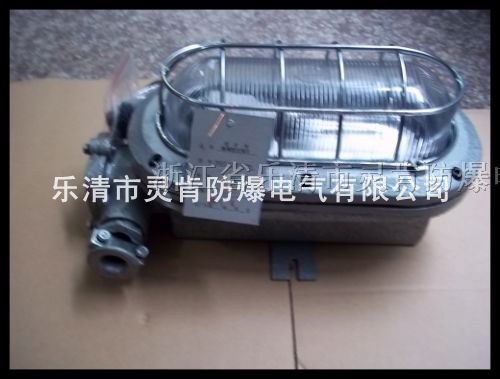供应DGC35/127N(B)支架灯,矿用隔爆型支架灯