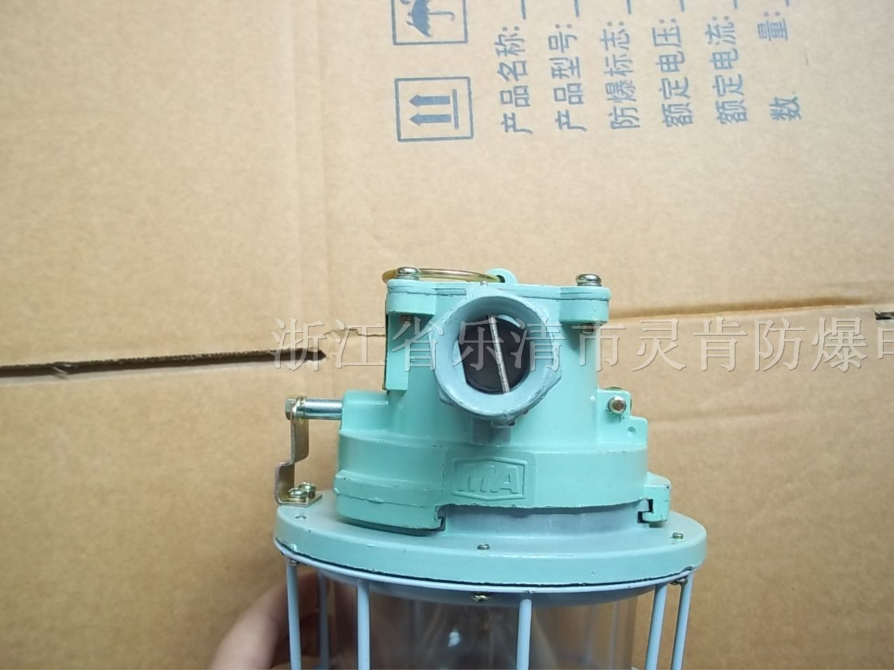 供应DGS60/127B(T)矿用隔爆型白炽灯,127V白炽灯