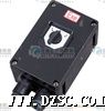 BHZ8050系列*爆*腐转换开关（IIC）