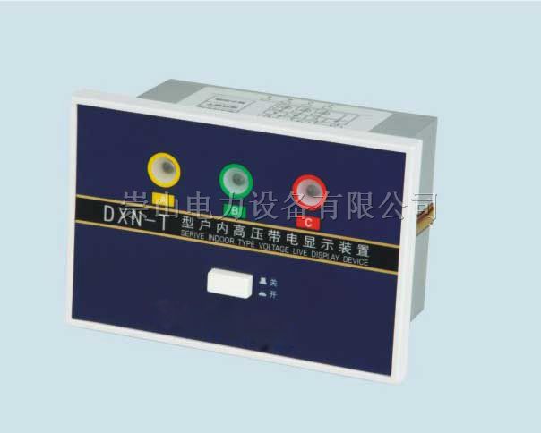 供应DXN-T_DXN-T高压带电显示器CG5-10Q
